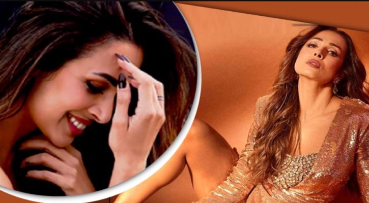 মালাইকার সঙ্গে নোরার তুলনা