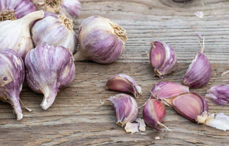 কোন ধরনের রসুন স্বাস্থ্যের জন্য ভালো?