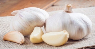 কোন ধরনের রসুন স্বাস্থ্যের জন্য ভালো?