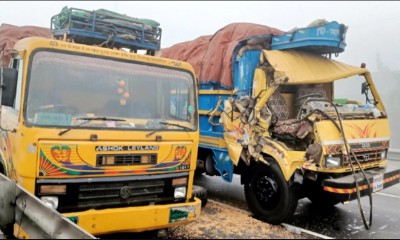 কুয়াশার কারণে সড়ক দুর্ঘটনা, নিহত ১