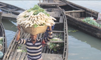 সুনামগঞ্জে শীতকালীন সবজির ভালো ফলনেও কৃষকের মুখ মলিন